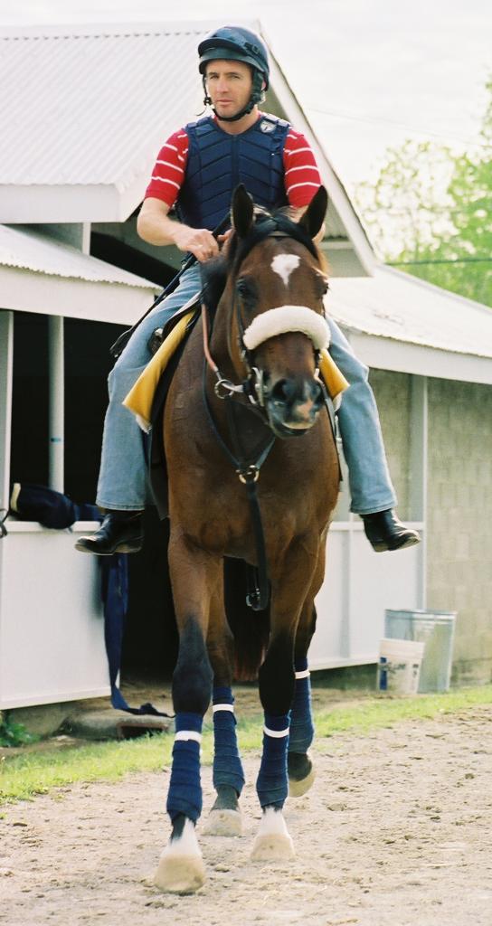 Barbaro and Peter Brette arriving back at the barn of trainer Michael Matz at Keeneland. (Carrie Curry photo)